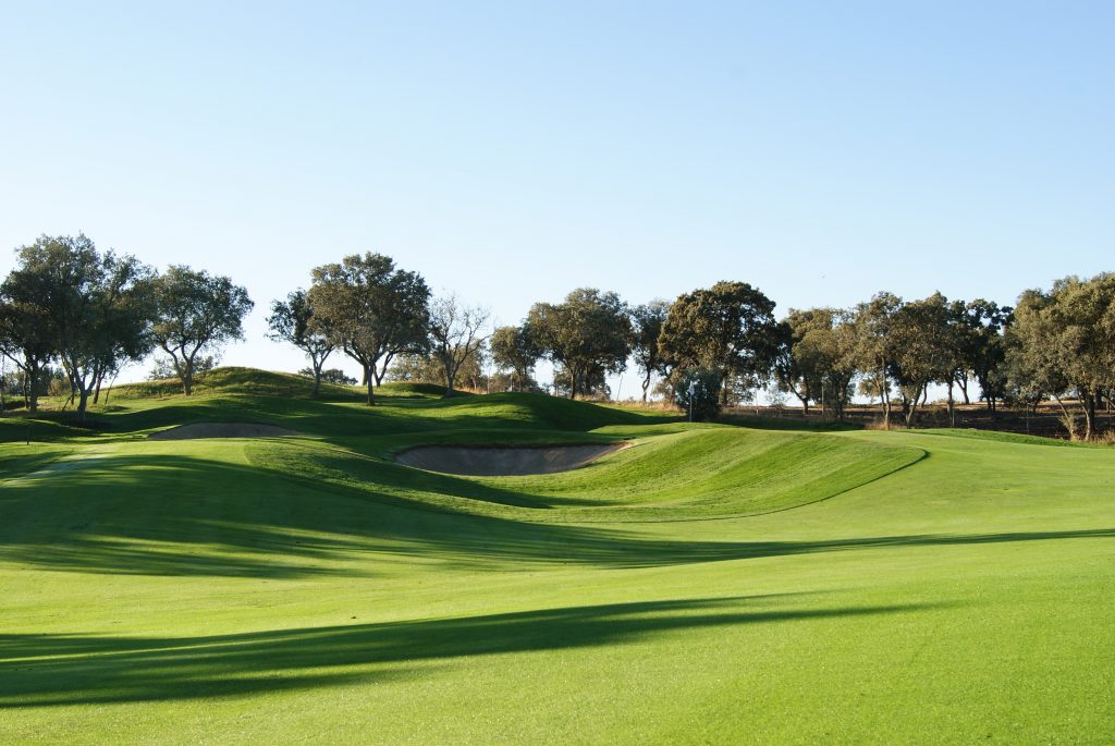 golf con lolium perenne y agrostis stolonifera