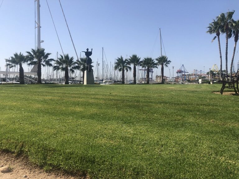 pennisetum-clandestinum-kikuyu-sembrado