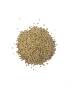 detalle-semilla-cynodon-dactylon-comun-o-grama-fina