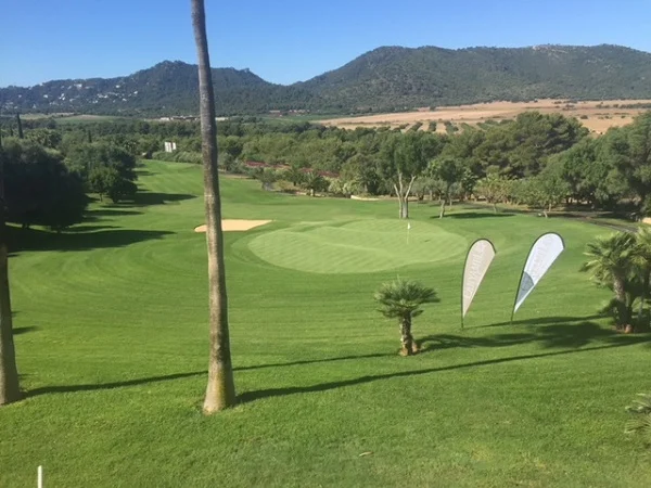 cynodon-dactylon-comun-en-golf