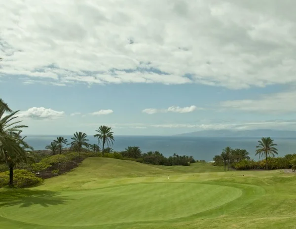 cynodon-dactylon-sahara-ii