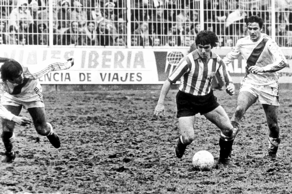 fútbol en barro césped semillas Dalmau