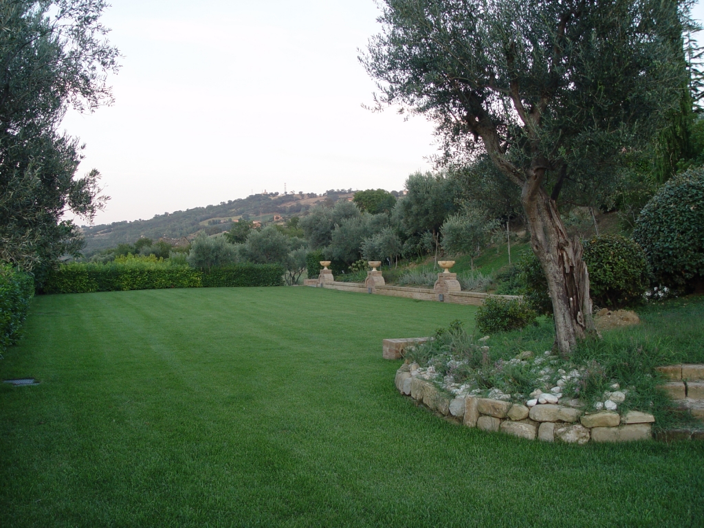 jardin-ornamental-cesped