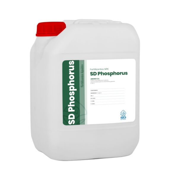 SD Phosphorus