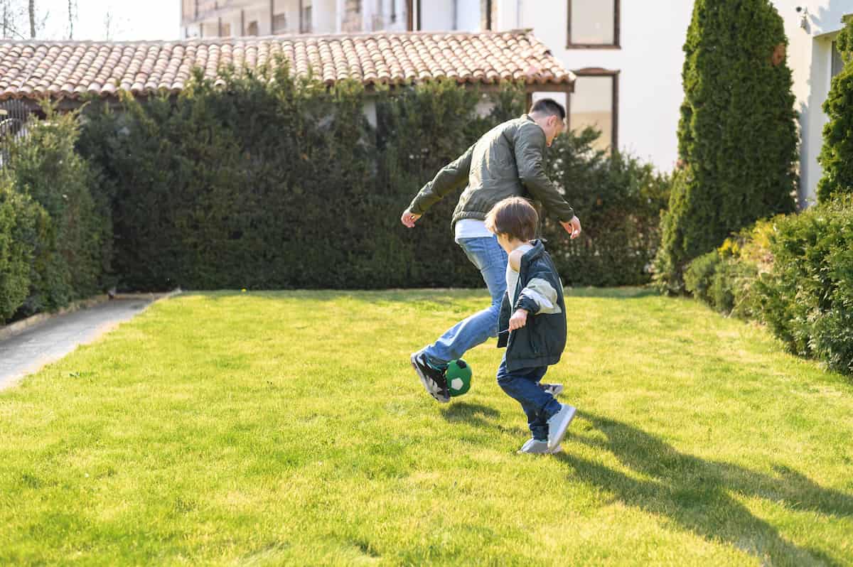 cómo calcular cantidad de semillas de césped forma y uso jardín Semillas Dalmau